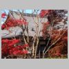 013_Byodoin.jpg