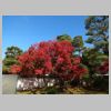 021_Byodoin.jpg