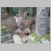 044_Kasuga-Taisha.jpg
