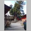 050_Kasuga-Taisha.jpg