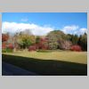 067_Nara_park.jpg
