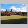 069_Nara_park.jpg