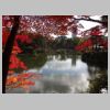 004_Shukkei-en.jpg