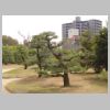 14_Ritsurin.jpg