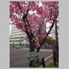 30_Takamatsu.jpg