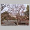 06_Hikone.jpg