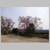 16_Hikone.jpg