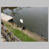 30_Hikone.jpg