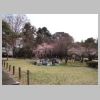 46_Hikone.jpg