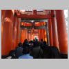 61_Fushimi-Inari.jpg