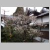 077_Sanzen-in.jpg