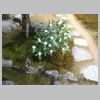 103_Sanzen-in.jpg
