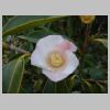 105_Sanzen-in.jpg