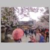 27_Ueno.jpg
