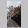 40_Ueno.jpg