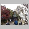61_Tenno-ji.jpg