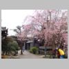 63_Tenno-ji.jpg