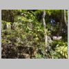 025_Kotoku-in.jpg