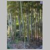 069_Kotoku-in.jpg