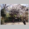 09_Rikugi-en.jpg