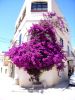 061_Rabat.jpg