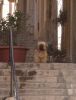 011_Senglea.jpg