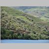 034_Douro.jpg