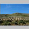 005_Douro.jpg