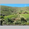 007_Douro.jpg