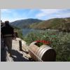 035_Quinta_de_Tedo.jpg