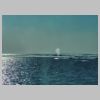 18_baleine.jpg